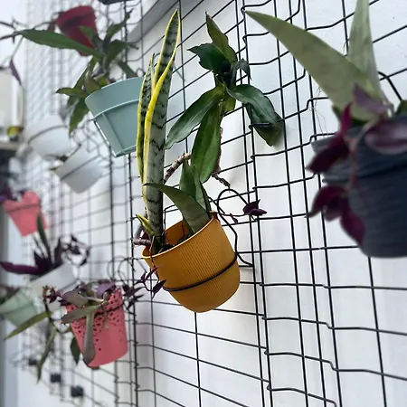 Vendégház Portas Residence, Quartos & - Center