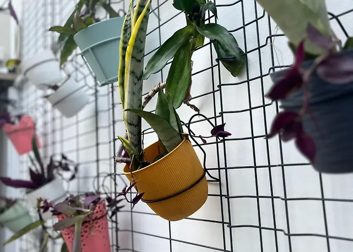 招待所 Portas Residence, Quartos & - Center