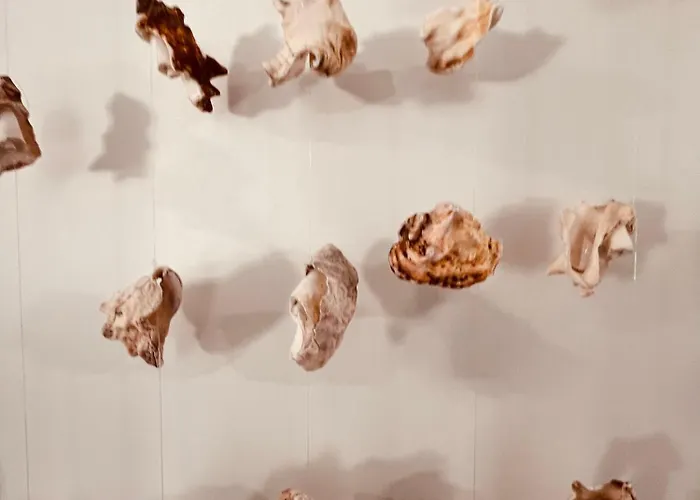 Portas Residence, Quartos & - Center